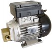 Lubricant Gear Pumps